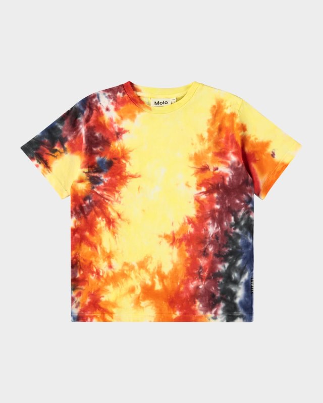 Boy's Riley Graphic-Print Short-Sleeve T-Shirt, Size 4-6